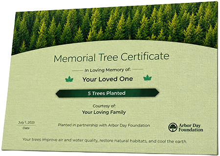 Plant Trees in Memory of Frances Robinson